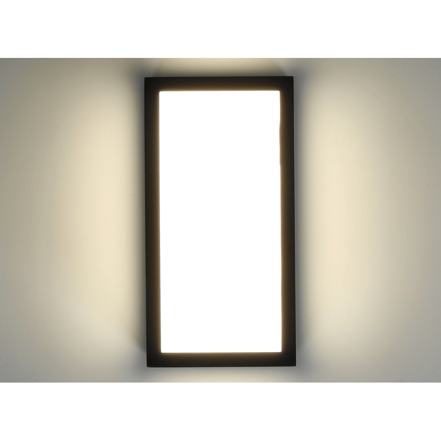 LED Lauko sieninis šviestuvas ENTERA LED/10W/230V 4000K IP54