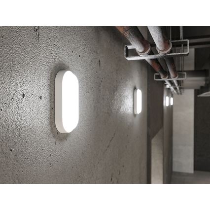 LED lauko sieninis šviestuvas LED/12W/230V IP54 baltas