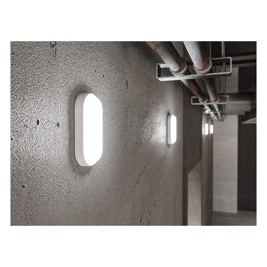 LED lauko sieninis šviestuvas LED/12W/230V IP54 baltas