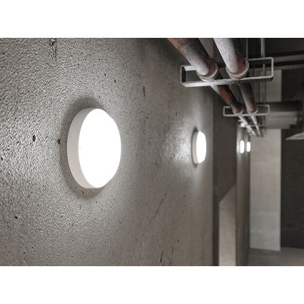 LED lauko sieninis šviestuvas LED/18W/230V IP54 baltas