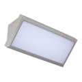 LED Lauko sieninis šviestuvas LED/20W/230V 3000K IP65 pilka