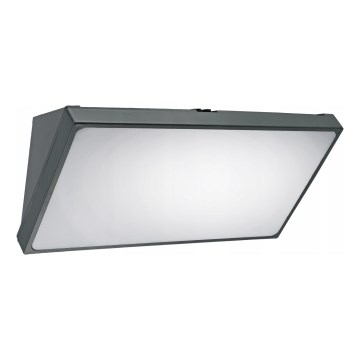 LED lauko sieninis šviestuvas LED/20W/230V IP65 pilkas