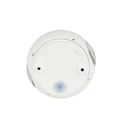 LED Lauko sieninis šviestuvas LED/6W/230V 4000K IP65 baltas