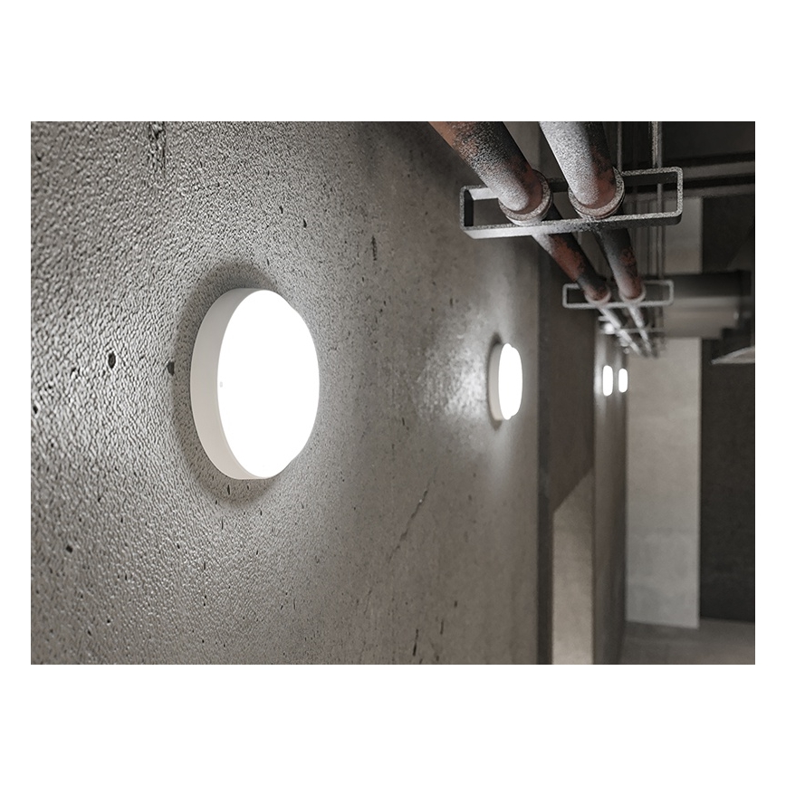 LED lauko sieninis šviestuvas LED/9W/230V IP54 baltas