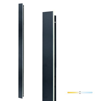 LED lauko sieninis šviestuvas MIRANA LED/25W/230V 4000K IP44 120 cm juodas