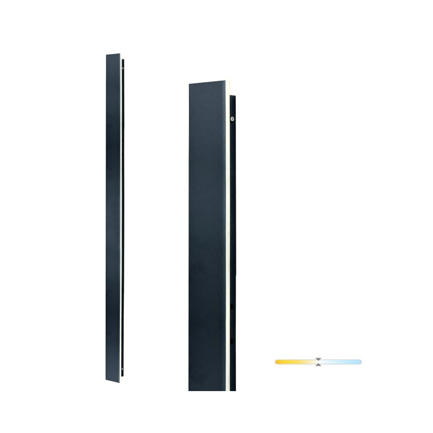 LED lauko sieninis šviestuvas MIRANA LED/25W/230V 4000K IP44 120 cm juodas