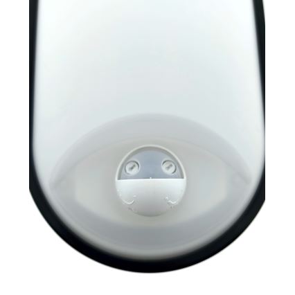 Dimeriuojamas LED lauko sieninis šviestuvas su judesio jutikliu LED/12/15/18W/230V 3000K/4000K/6500K IP65 juodas/baltas