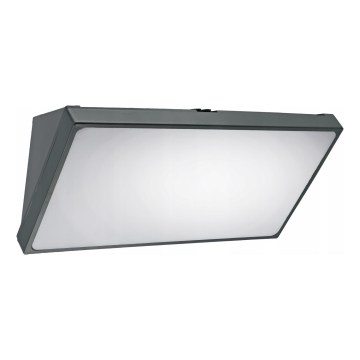 LED lauko sieninis šviestuvas su judesio jutikliu LED/20W/230V IP65 pilkas