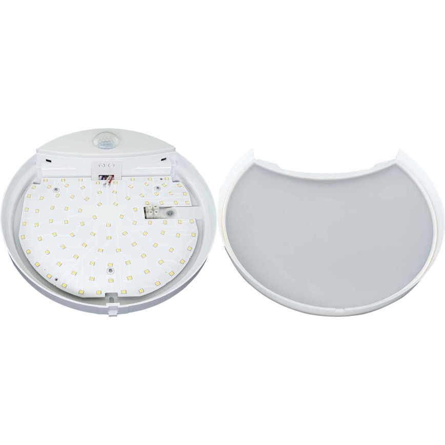 LED Lauko sieninis šviestuvas su jutikliu HIBIS LED/15W/230V IP44
