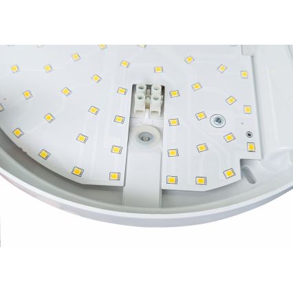 LED Lauko sieninis šviestuvas su jutikliu HIBIS LED/15W/230V IP44