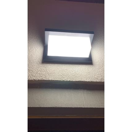 LED Lauko sieninis šviestuvas su jutikliu LED/12W/230V IP54 juodas