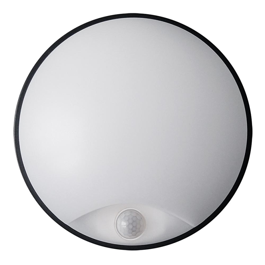 LED Lauko sieninis šviestuvas su jutikliu LED/14W/230V IP54
