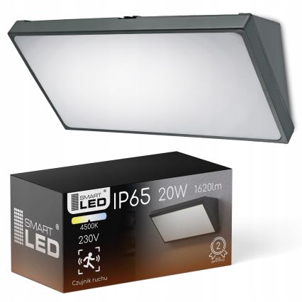 LED lauko sieninis šviestuvas su judesio jutikliu LED/20W/230V IP65 pilkas