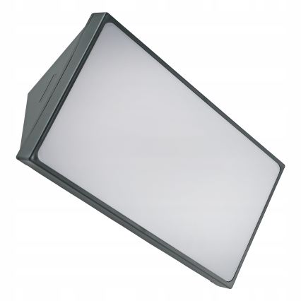 LED lauko sieninis šviestuvas su judesio jutikliu LED/20W/230V IP65 pilkas