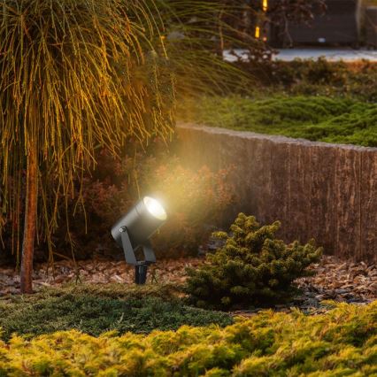 LED lauko šviestuvas LED/10W/230V 3000K IP65