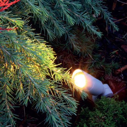 LED lauko šviestuvas OKO LED/1W/350mA IP54