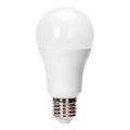 LED lemputė A60 E27/23W/230V 6500K - Aigostar