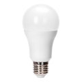 LED lemputė A60 E27/24W/230V 6500K - Aigostar