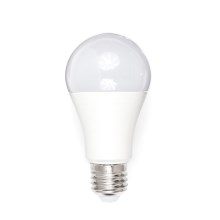 LED lemputė A80 E27/18W/230V 3000K