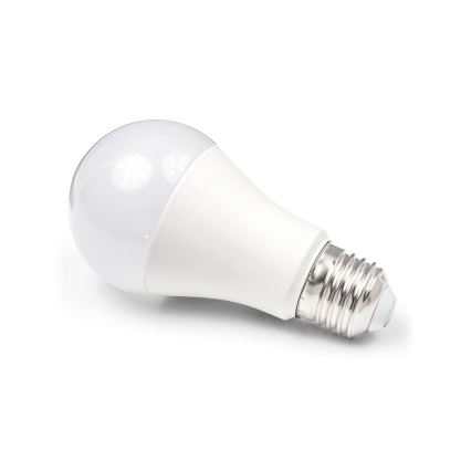 LED lemputė A80 E27/18W/230V 3000K