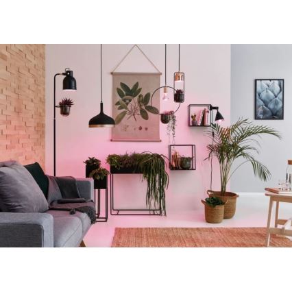 LED Lemputė augalų augimui GROW ŽALIA R50 E14/4W/230V - Paulmann 28734