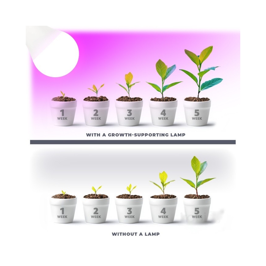 LED Lemputė augalų augimui PLANTY E27/11W/230V 1200K balta