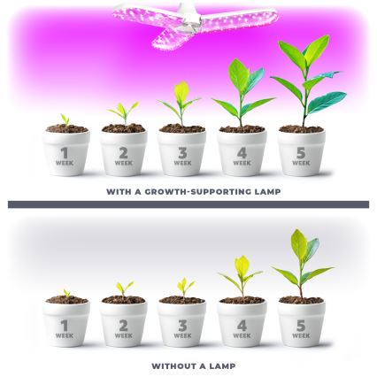 LED Lemputė augalų augimui PLANTY E27/24W/230V 1200K