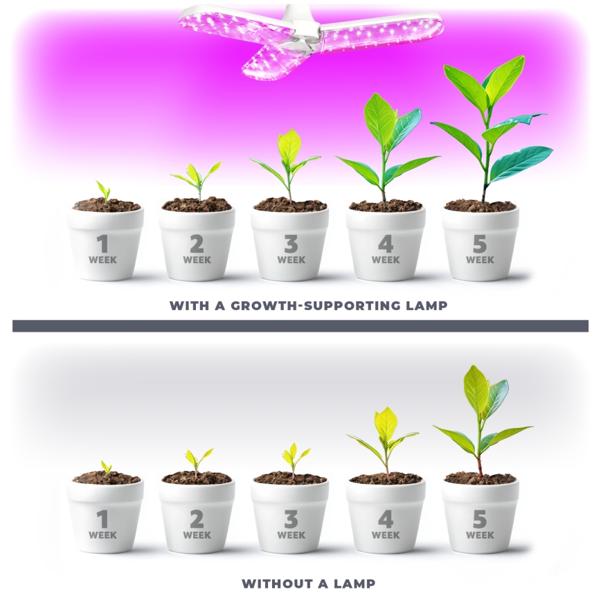 LED Lemputė augalų augimui PLANTY E27/24W/230V 1200K