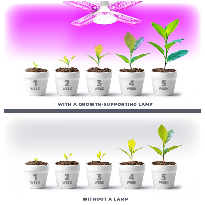 LED Lemputė augalų augimui PLANTY E27/40W/230V 1200K