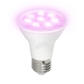 LED Lemputė augalų augimui PLANTY E27/7W/230V 1200K balta