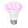 LED Lemputė augalų augimui PLANTY E27/7W/230V 1200K balta