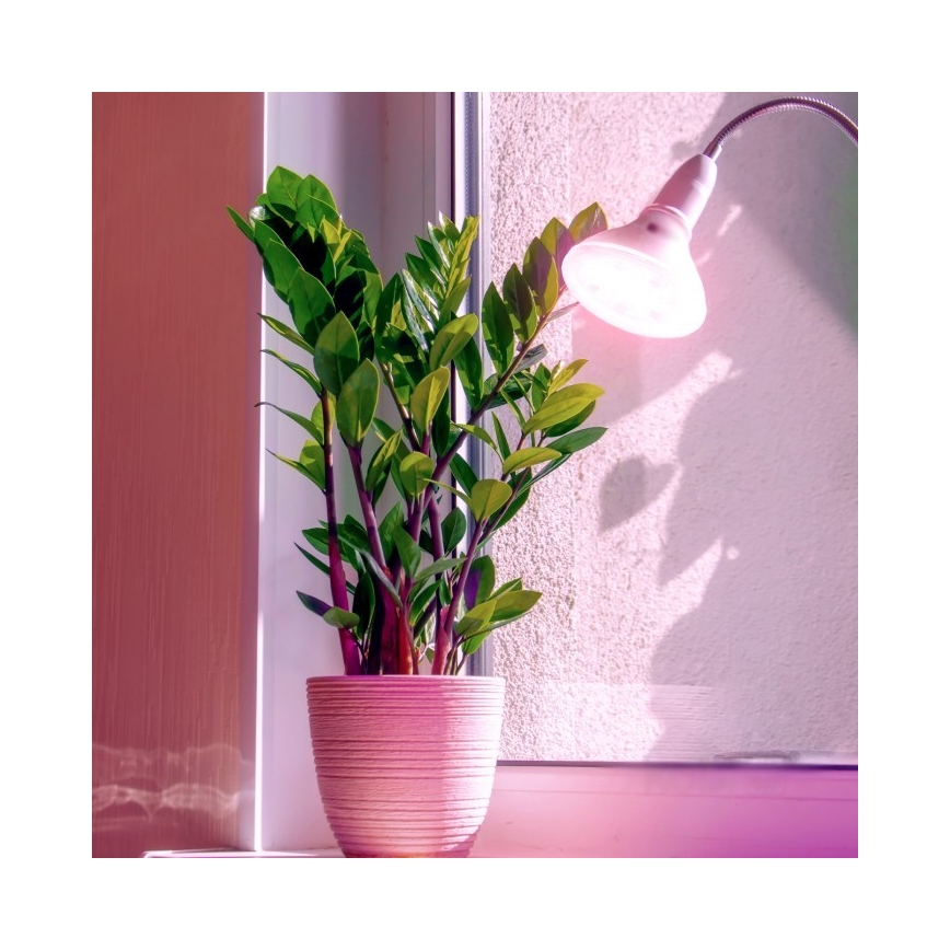 LED Lemputė augalų augimui PLANTY E27/7W/230V 1200K balta