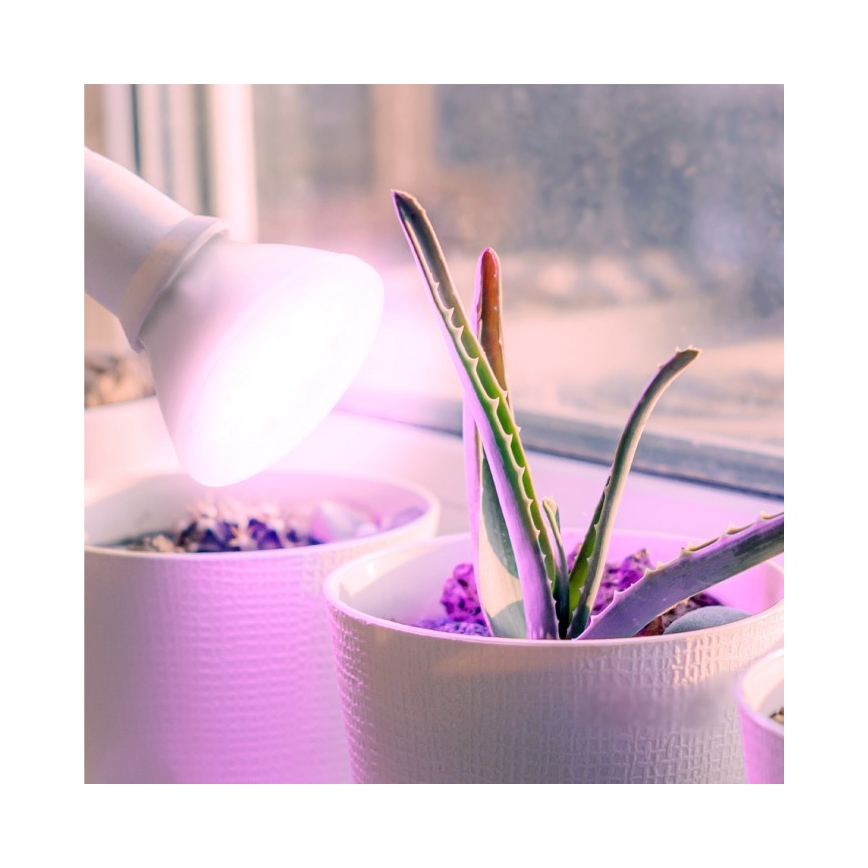 LED Lemputė augalų augimui PLANTY E27/7W/230V 1200K balta
