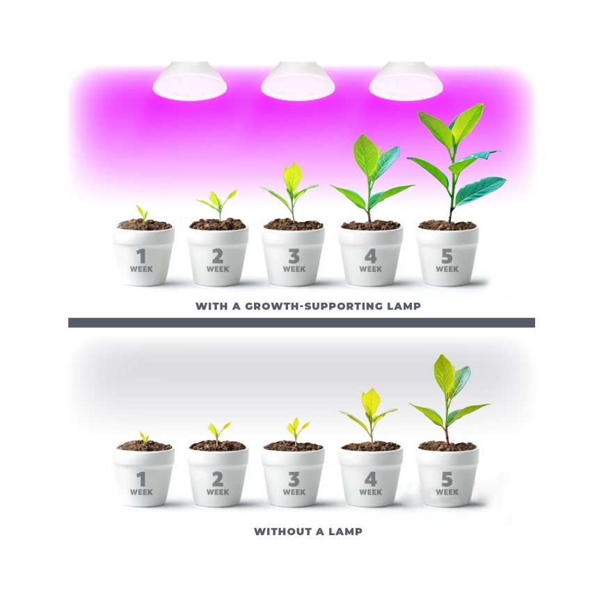 LED Lemputė augalų augimui PLANTY E27/7W/230V 1200K balta