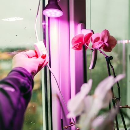 LED Lemputė augalų augimui PLANTY E27/7W/230V 1200K juoda