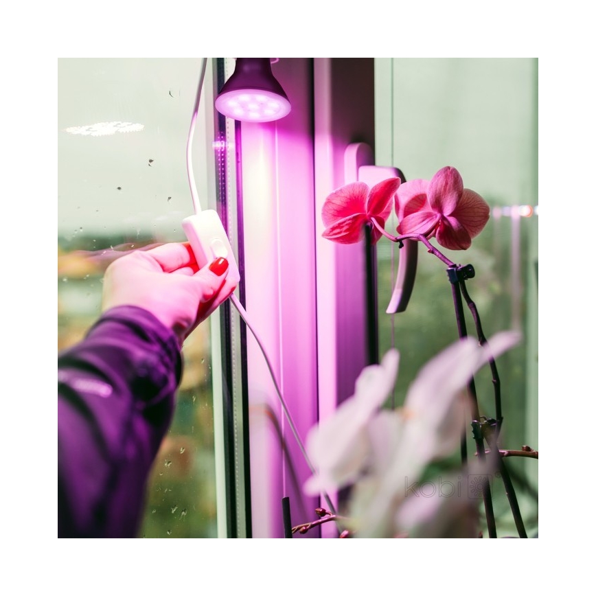 LED Lemputė augalų augimui PLANTY E27/7W/230V 1200K juoda