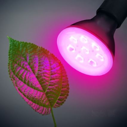LED Lemputė augalų augimui PLANTY E27/7W/230V 1200K juoda