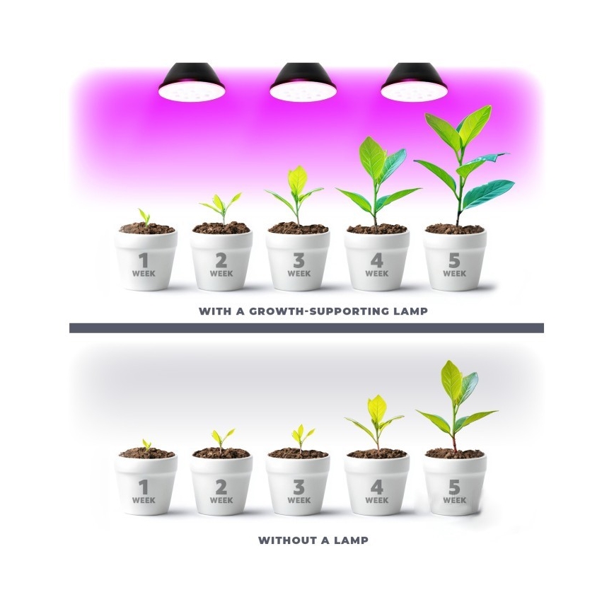 LED Lemputė augalų augimui PLANTY E27/7W/230V 1200K juoda