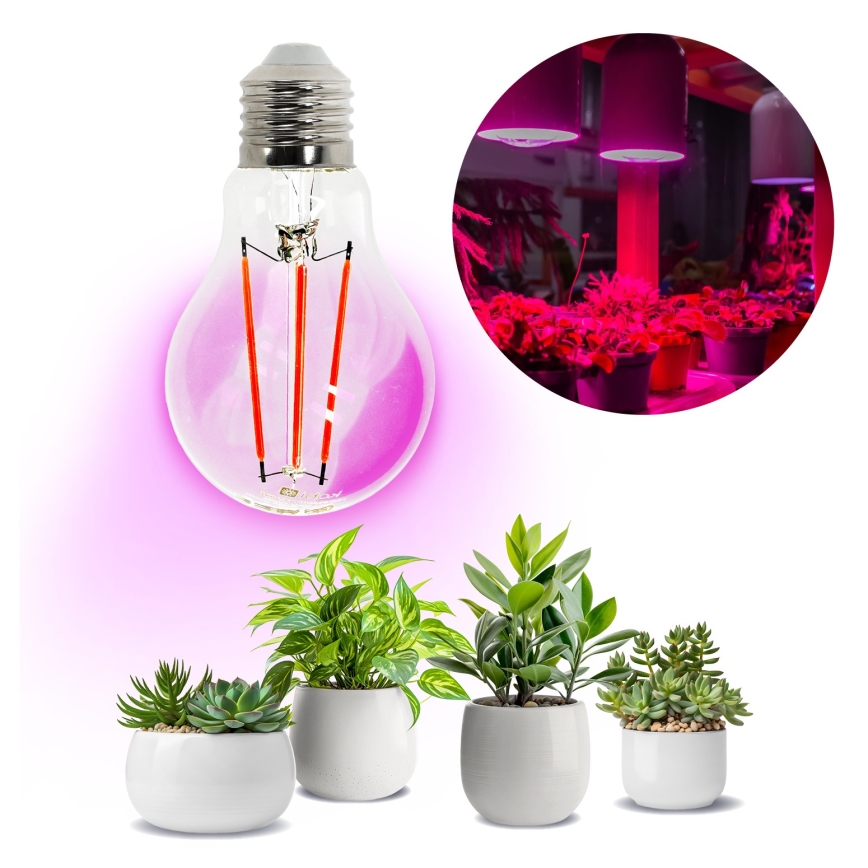LED Lemputė augalų augimui PLANTY E27/8W/230V 1200K