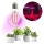 LED Lemputė augalų augimui PLANTY E27/8W/230V 1200K