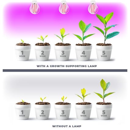 LED Lemputė augalų augimui PLANTY E27/8W/230V 1200K