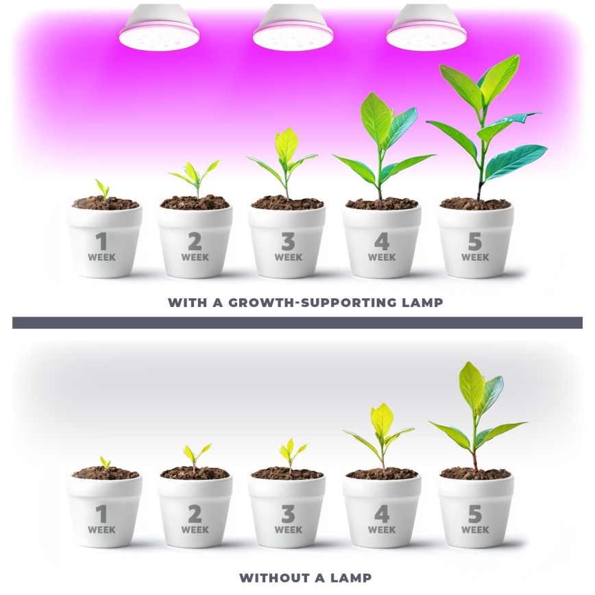 LED Lemputė augalų augimui PLANTY E27/9W/230V 1200K balta