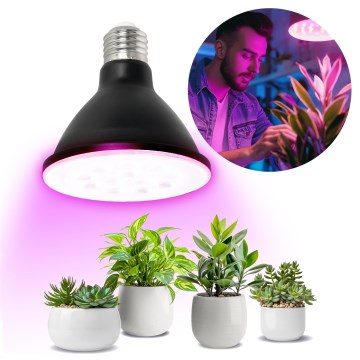 LED Lemputė augalų augimui PLANTY E27/9W/230V 1200K juoda