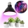 LED Lemputė augalų augimui PLANTY E27/9W/230V 1200K juoda
