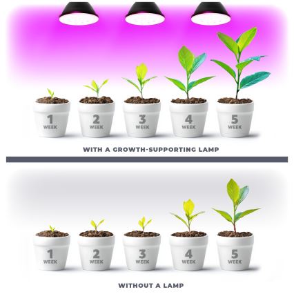 LED Lemputė augalų augimui PLANTY E27/9W/230V 1200K juoda