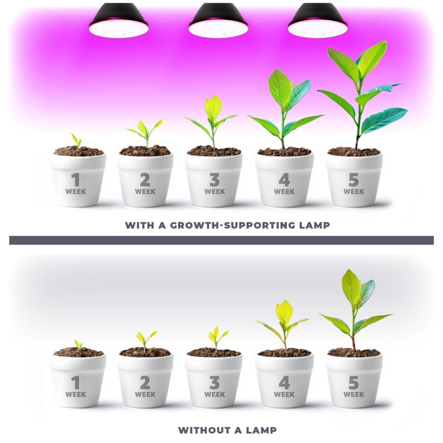 LED Lemputė augalų augimui PLANTY E27/9W/230V 1200K juoda