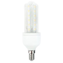 LED Lemputė E14/12W/230V 6400K - Aigostar