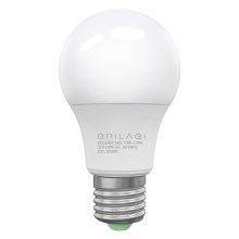 LED lemputė ECOLINE A60 E27 / 10W / 230V 6500K - Brilagi