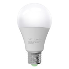 LED lemputė ECOLINE A60 E27 / 15W / 230V 6500K - Brilagi