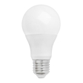 LED Lemputė GLS E27/10W/230V
